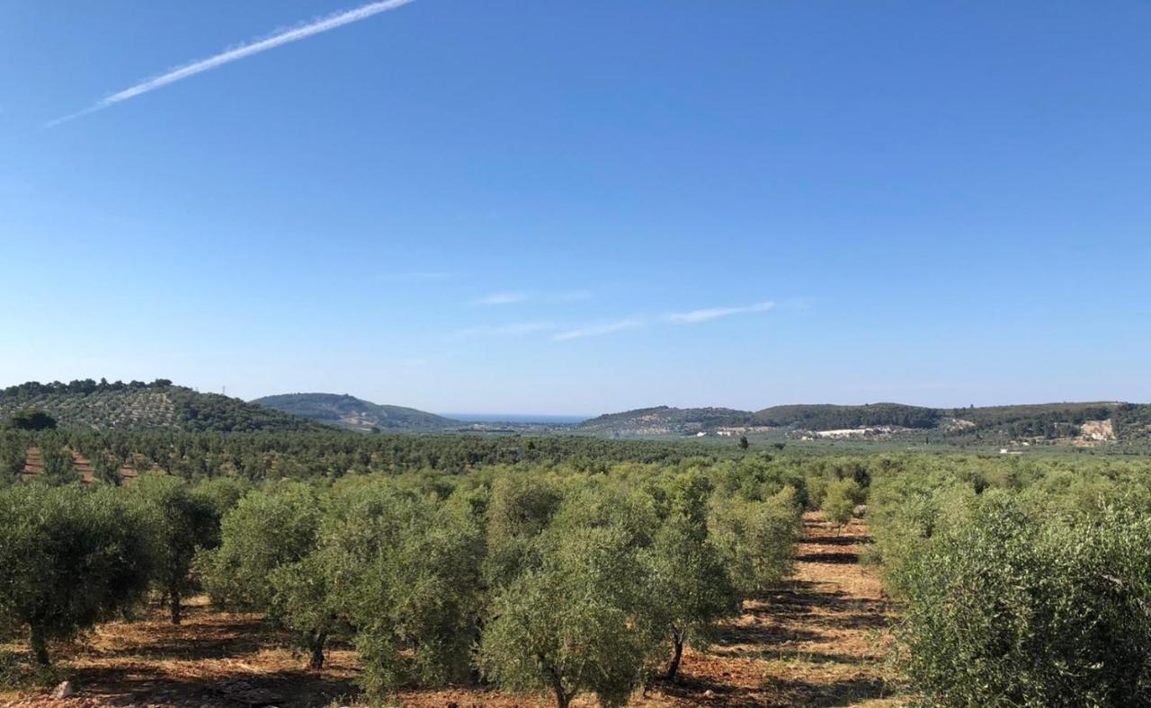Borgo Rosoli Vieste Kültér fotó