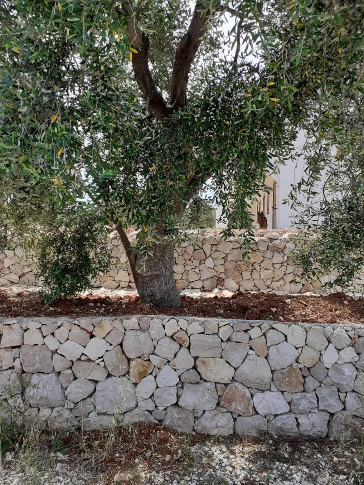 Borgo Rosoli Vieste Kültér fotó