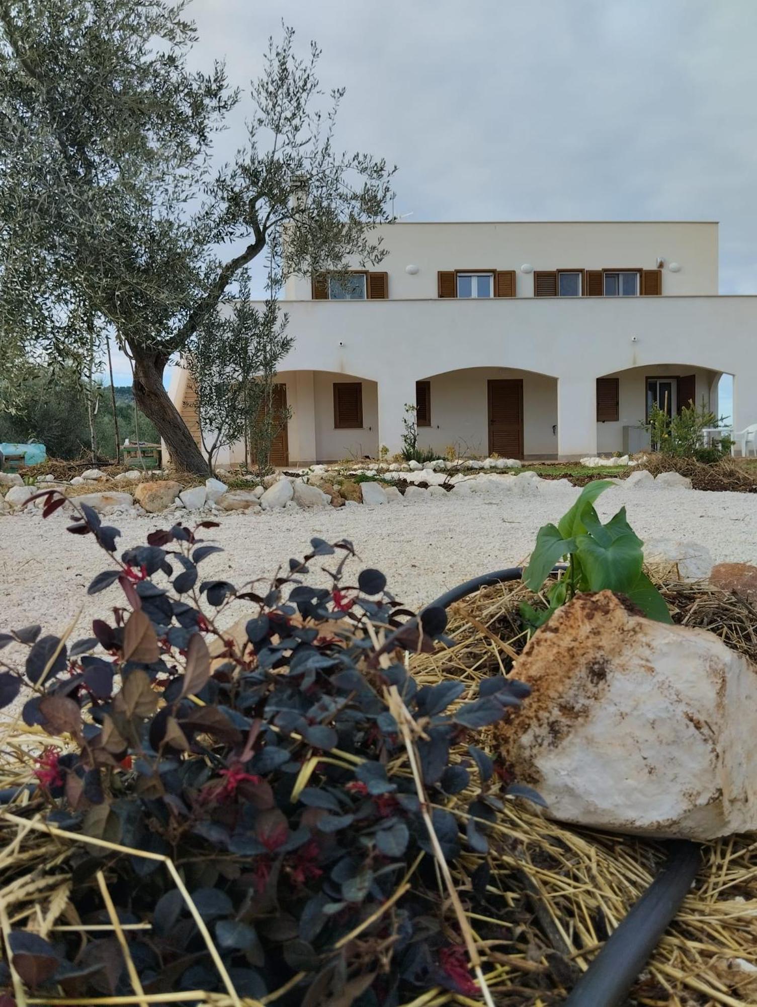 Borgo Rosoli Vieste Kültér fotó
